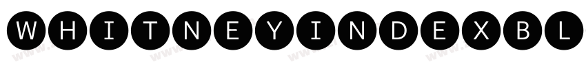 WhitneyIndexBlack Ro字体转换